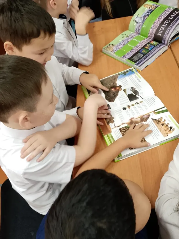 SaveInta.com 576104604 18032369786742980 1772269130062161041 n 750