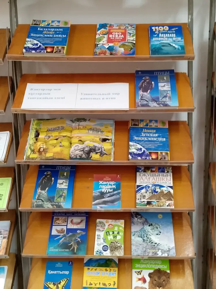 SaveInta.com 586691186 18032369816742980 6066519477889590492 n 750